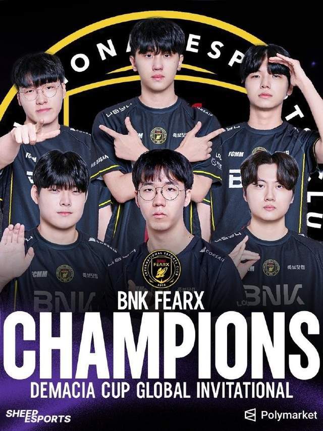 专业bw必威西汉姆联官方网站服务